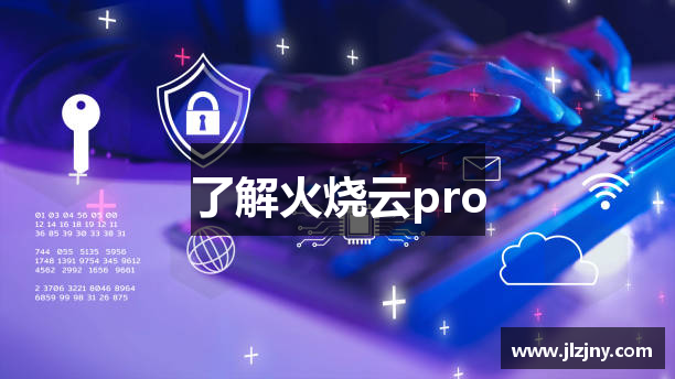 了解火烧云pro
