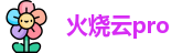 火烧云Pro-HsyCloud-高速网络服务